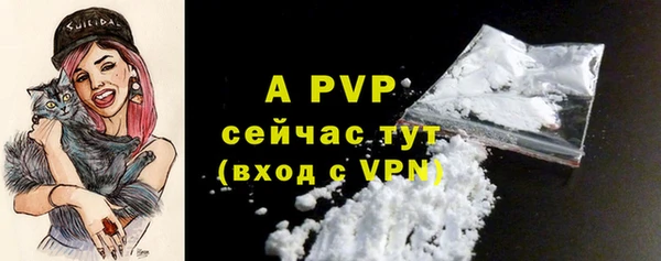 spice Абаза