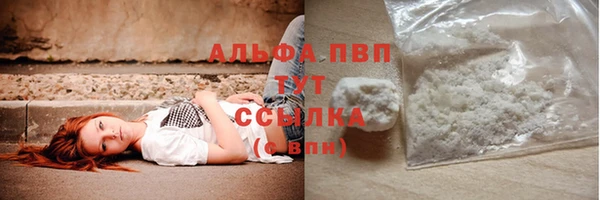 стафф Абинск