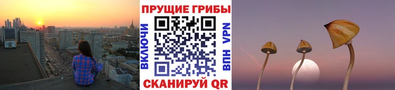Галлюциногенные грибы Magic Shrooms Воронеж